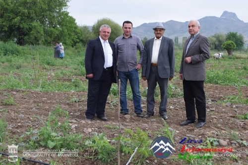 “Gələcəyini Tətbiq et” proqramı nəznində Kvemo Kartlidə yeni meyvə bağları salınacaq